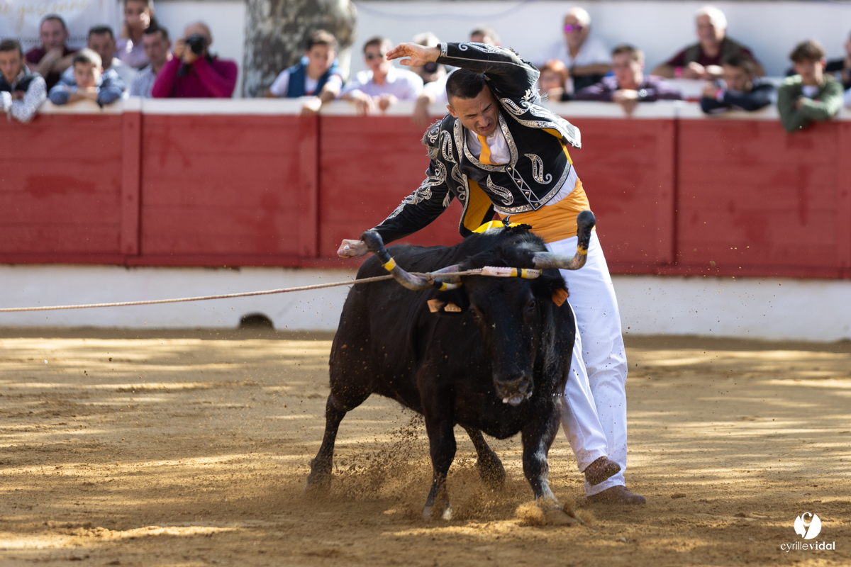Nogaro Championnat de France de course landaise 2022