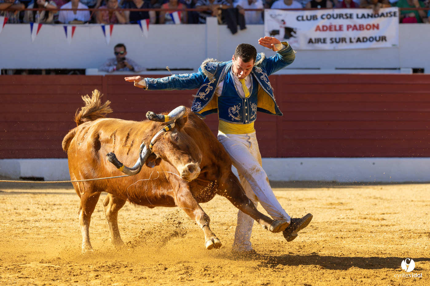 Aire-sur-l'Adour Championnat de France de course landaise 2023