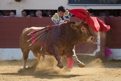 corrida, toro, vic fezensac, alcurrucen, michelito, morenito de aranda