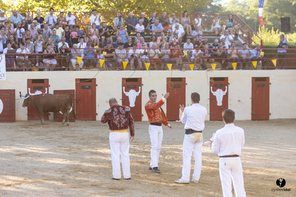Course landaise