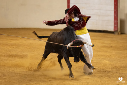 Horsarrieu course landaise du boléro d'Argent