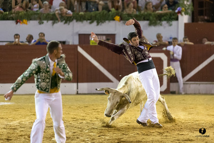 Aire sur l'Adour course landaise génération Aturine