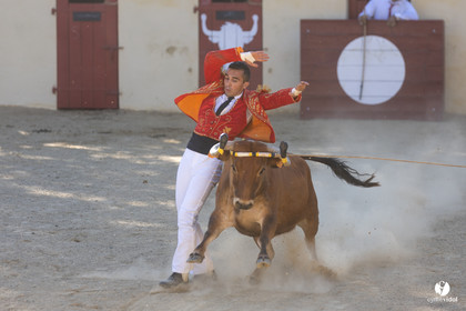 Course landaise