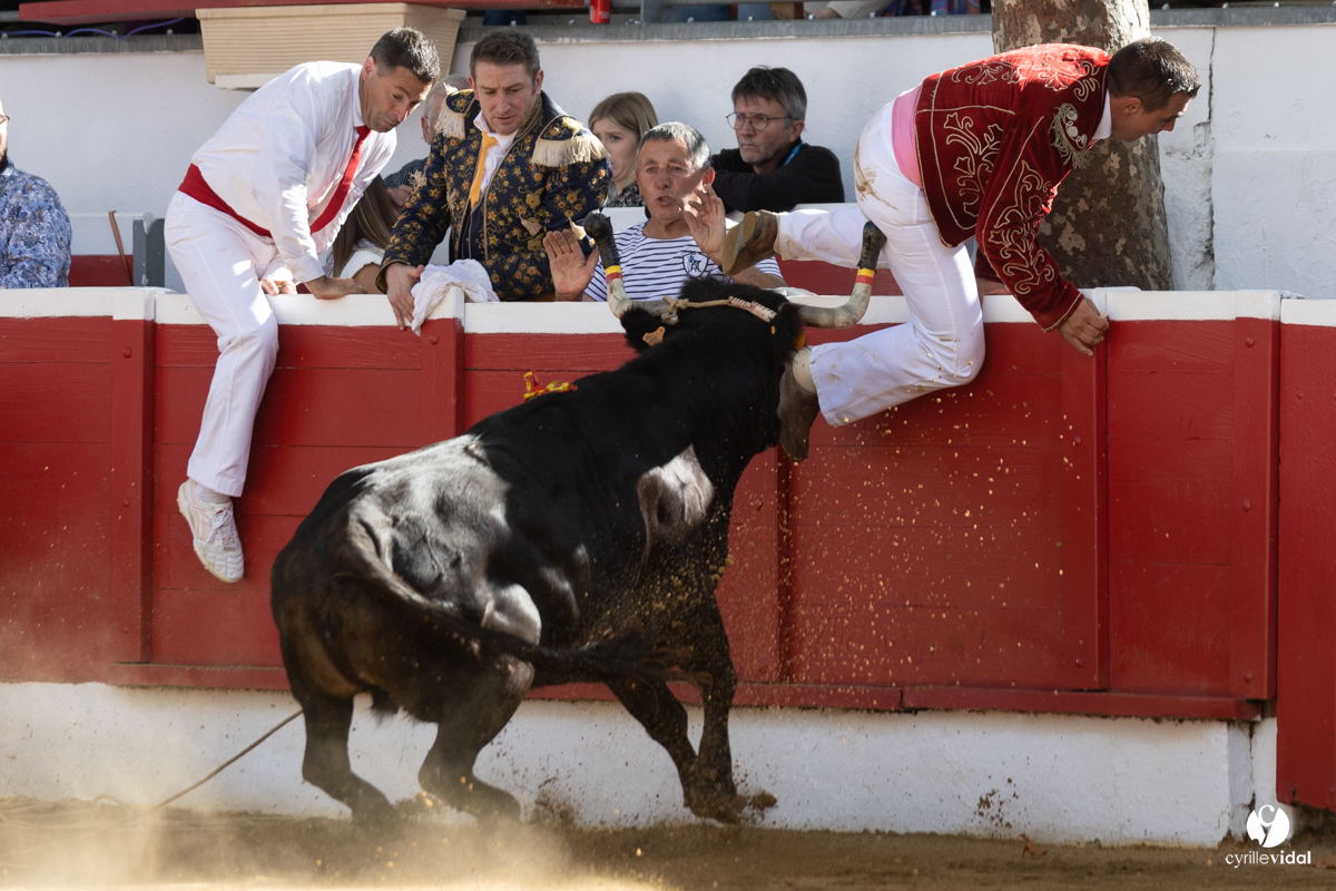 Nogaro Championnat de France de course landaise 2022