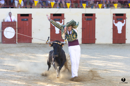 Course landaise