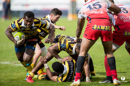 Stade Montois Rugby - Grenoble