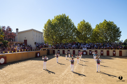 Course landaise