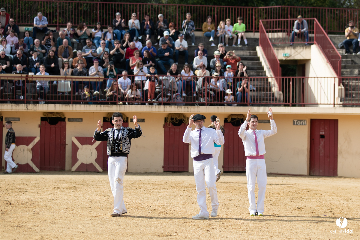 Course landaise Le Houga Ganadéria Dussau Cuadrilla Alexandre Brethes