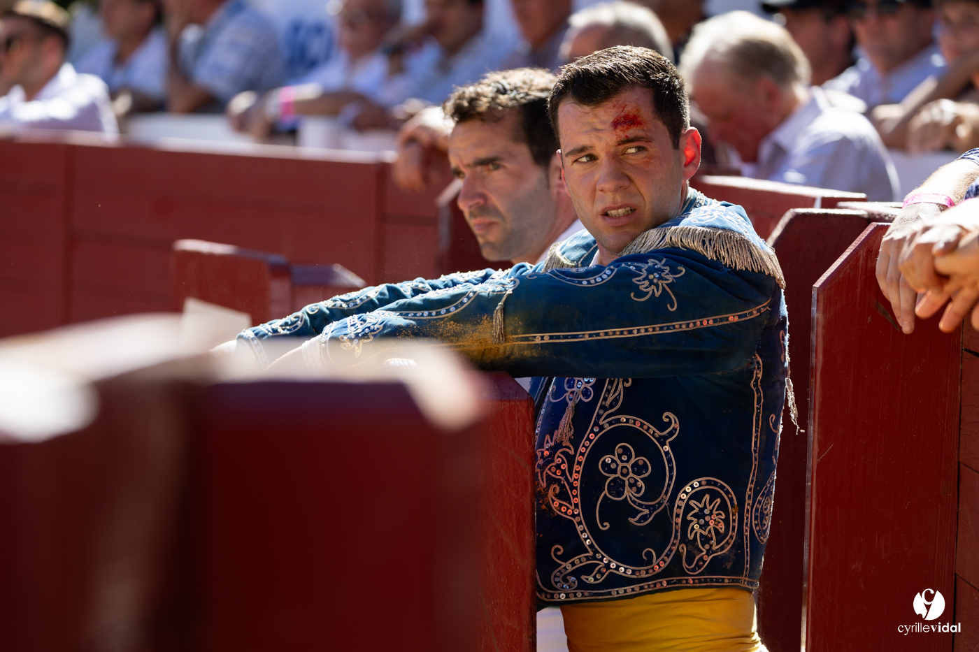 Aire-sur-l'Adour Championnat de France de course landaise 2023