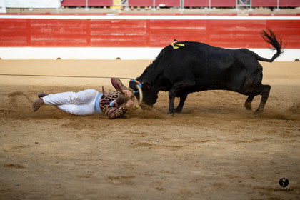 Mont-de-Marsan championnat de France de course landaise 2019