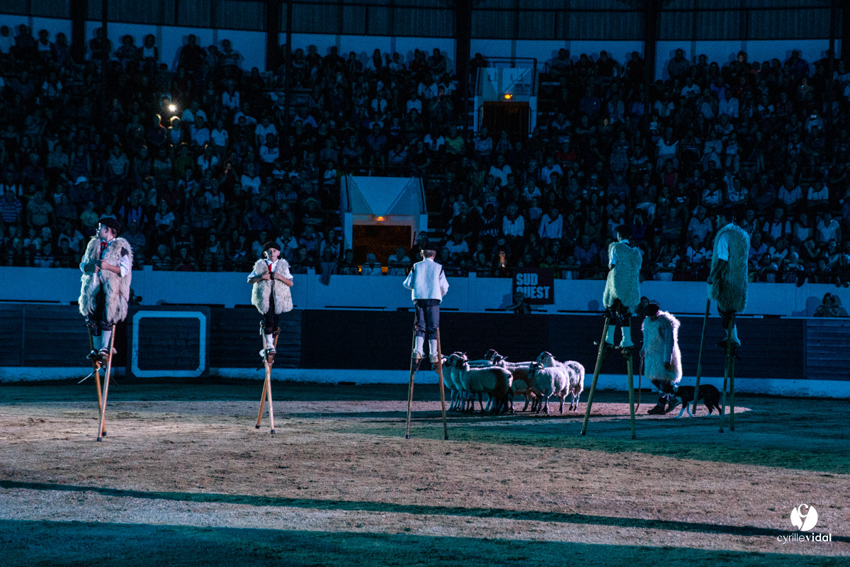 Landes émotions à Aire-sur-l'Adour