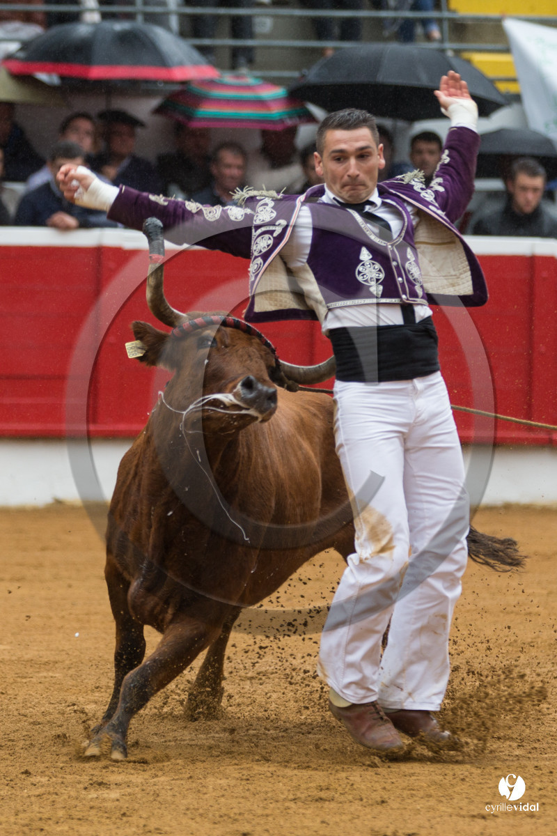 Nogaro Championnatde France de Course Landaise 2017