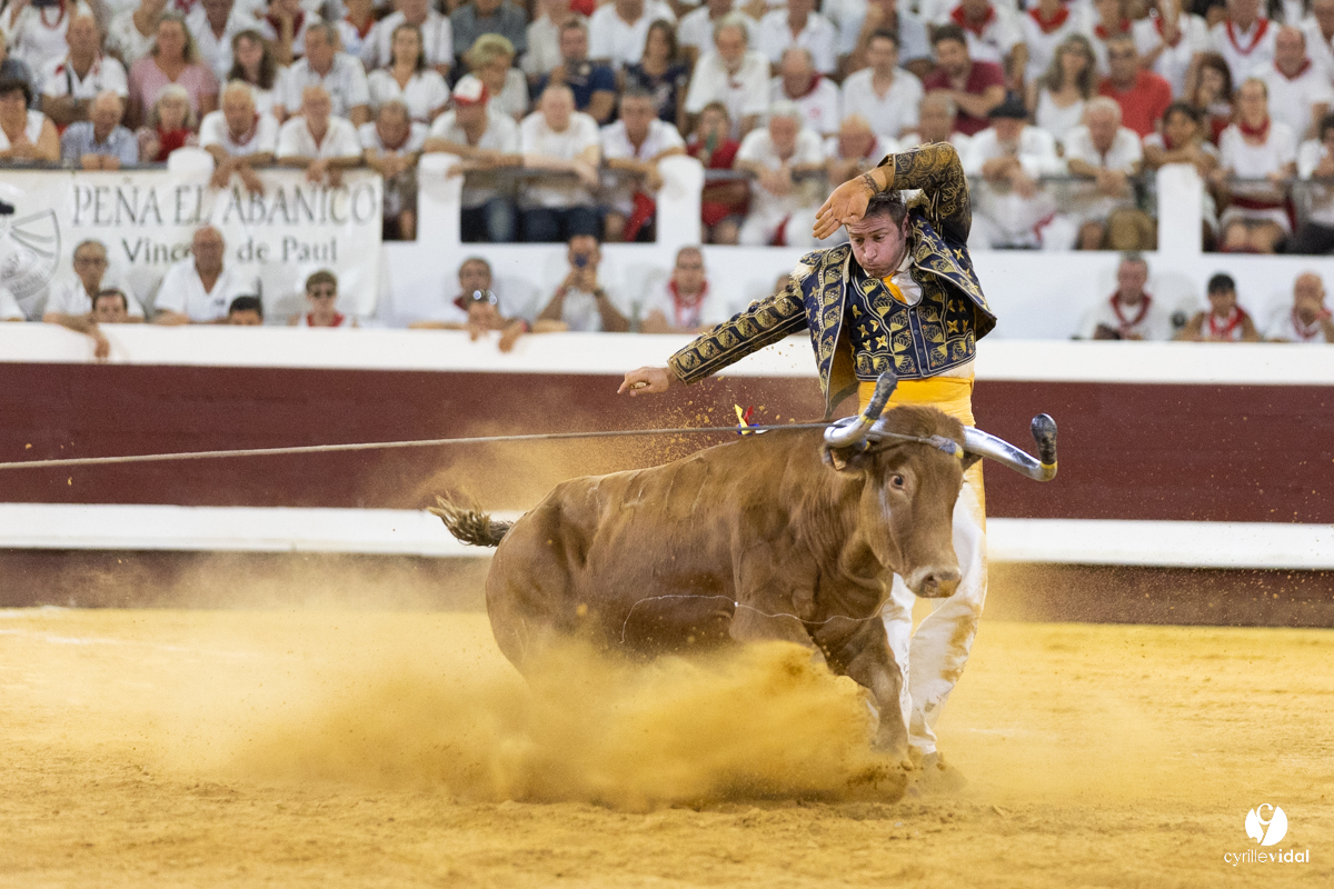 Dax concours landais 2022