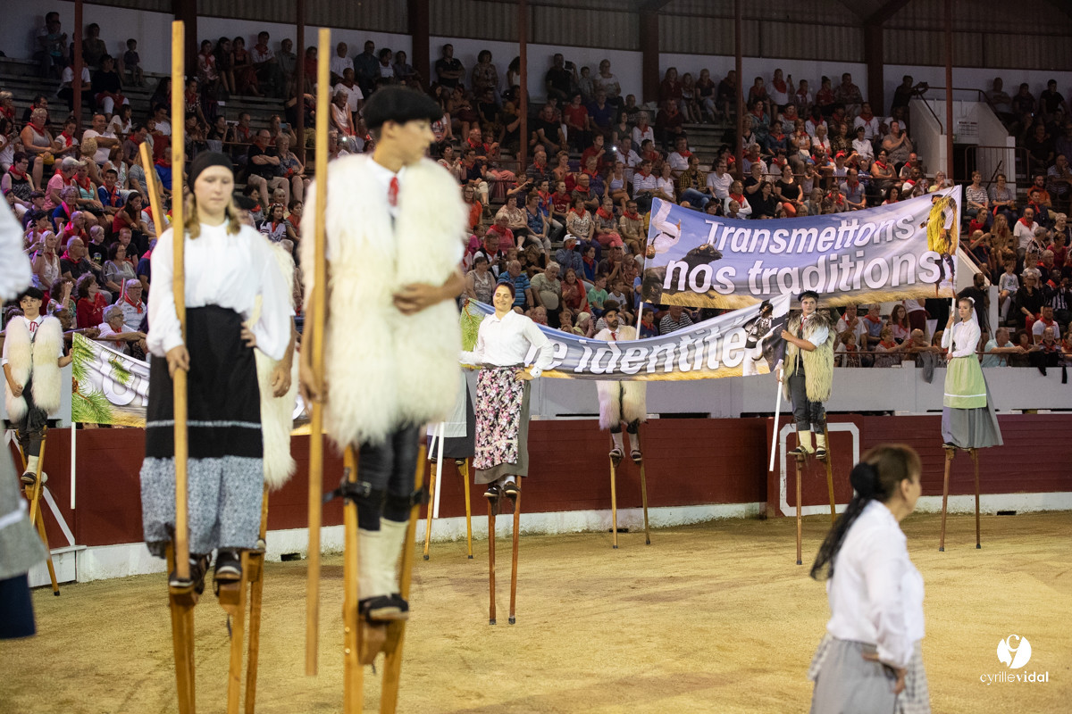 Landes émotions à Aire-sur-l'Adour