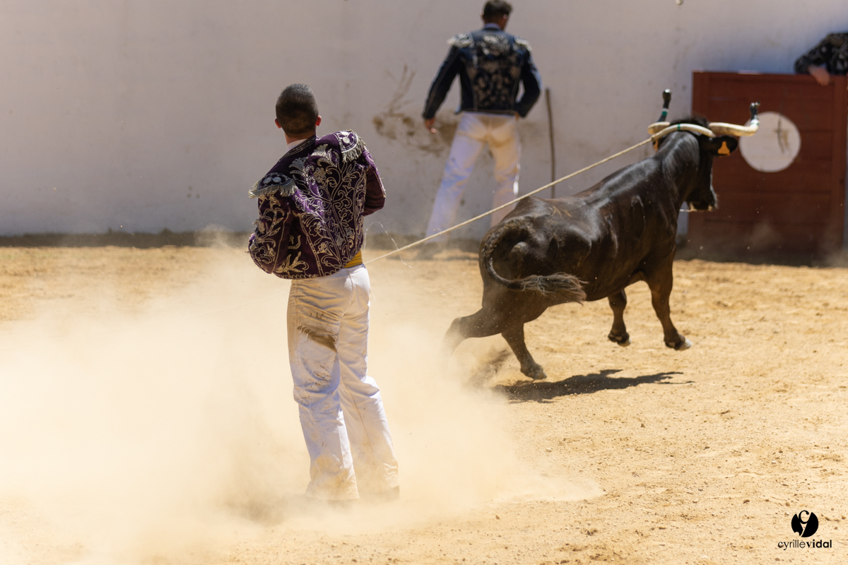 Saint-Cricq Chalosse course landaise de promotion Ganadéria Deyris Cuadrilla Jérémy Lafitte