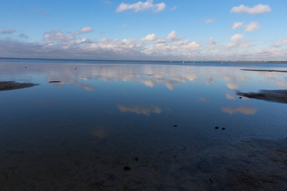 Paysages des Landes