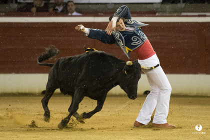 Mont-de-Marsan festival Art et Courage