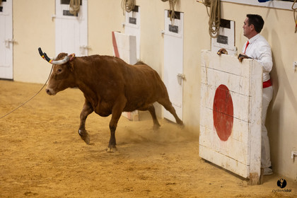 Horsarrieu course landaise du boléro d'Argent