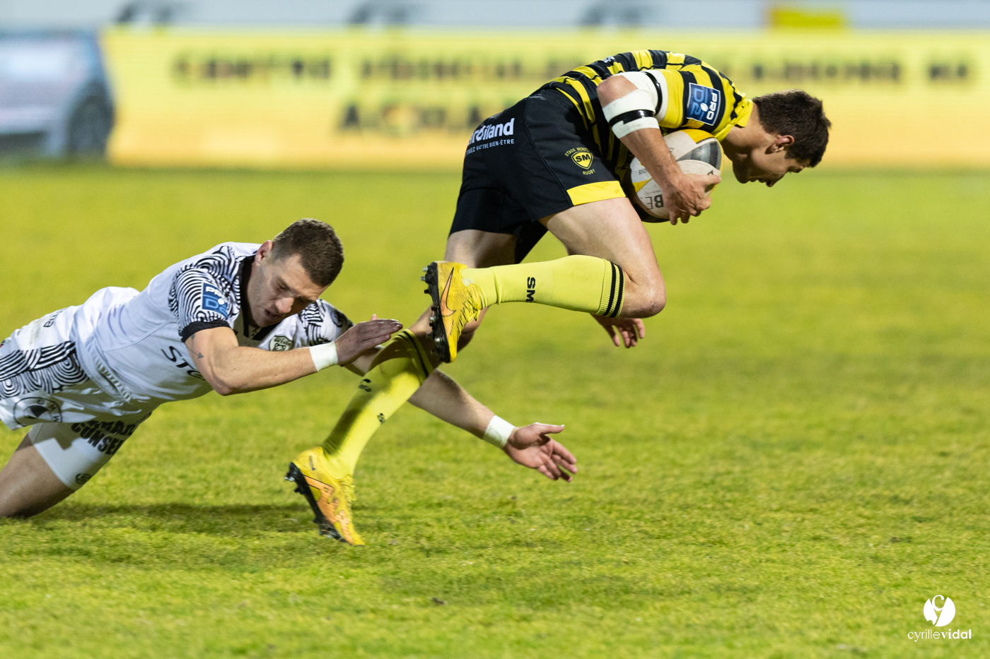 Stade Montois Rugby - Vannes
