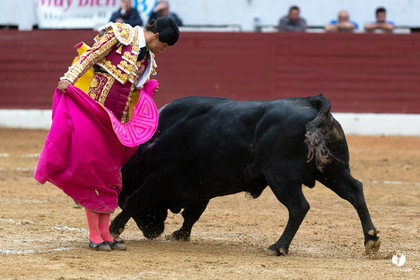 Corrida d'Aire sur l'Adour