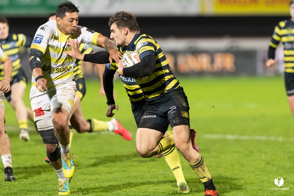 Stade Montois Rugby - Carcassonne