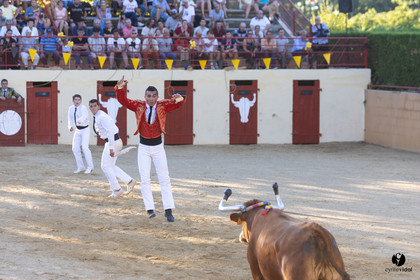 Course landaise
