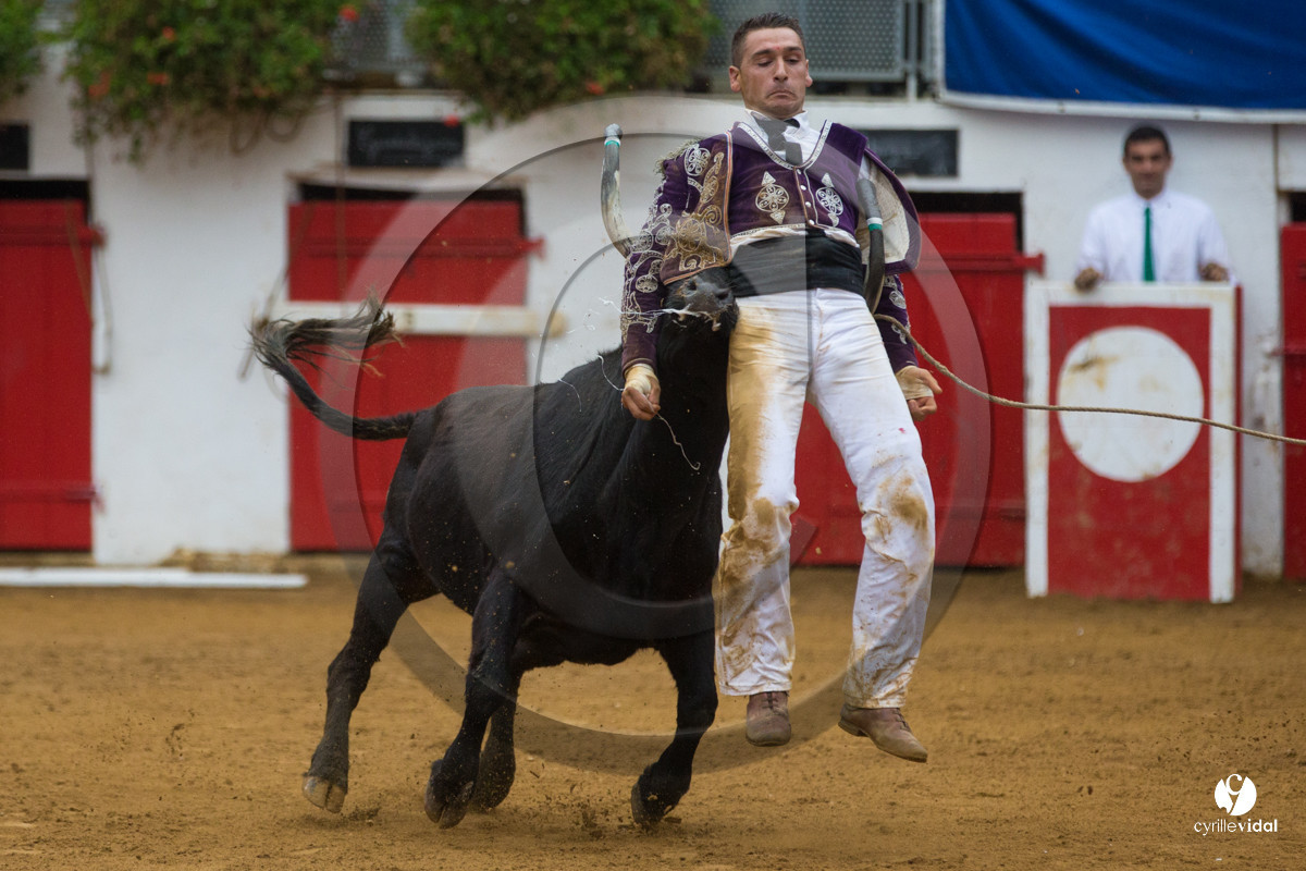 Nogaro Championnatde France de Course Landaise 2017
