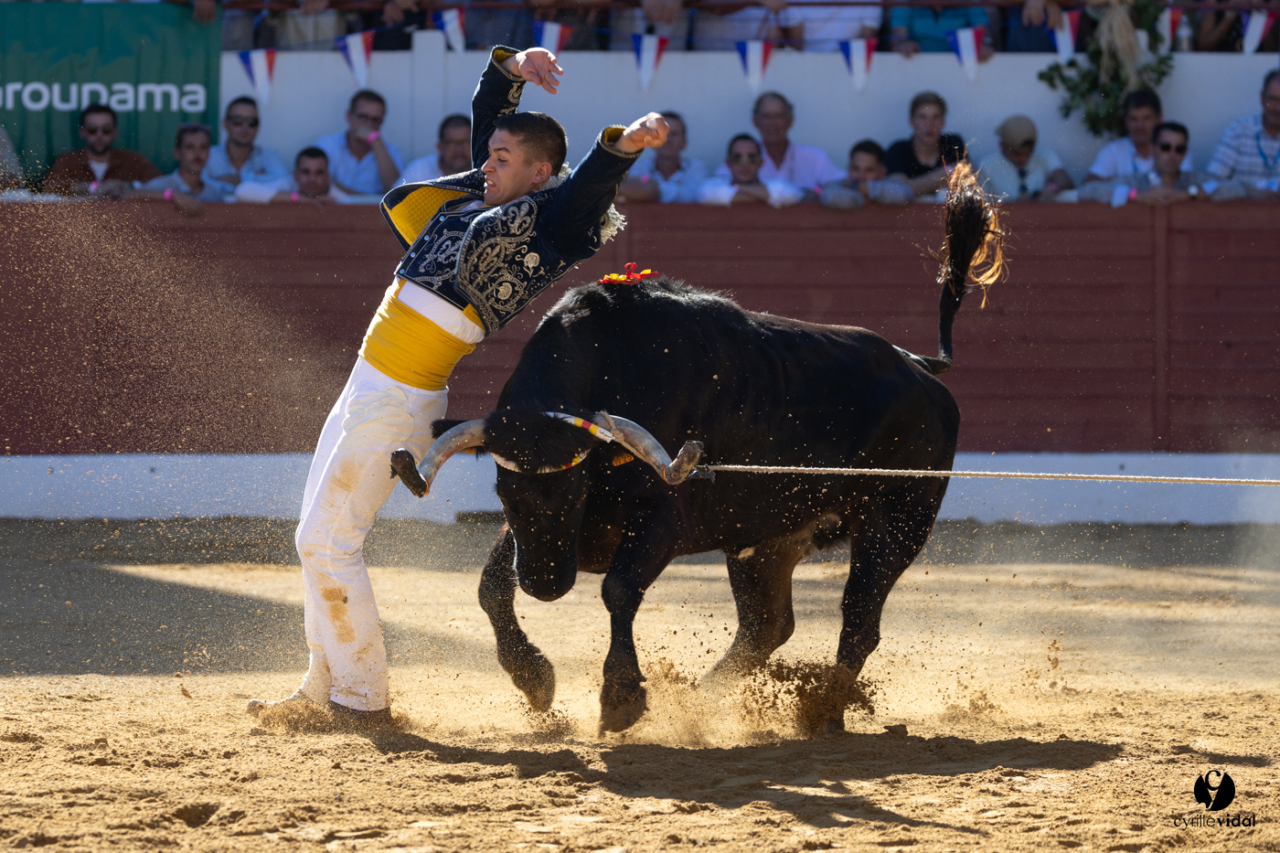 Aire-sur-l'Adour Championnat de France de course landaise 2023