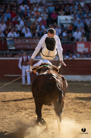 Mont-de-Marsan championnat de France de course landaise 2019