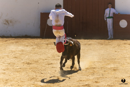 Saint-Cricq Chalosse course landaise de promotion Ganadéria Deyris Cuadrilla Jérémy Lafitte