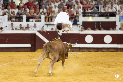 Dax concours landais 2022