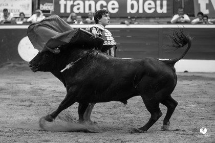 Mont-de-Marsan corrida de Jandilla pour Padilla - Talavante - Roca Rey