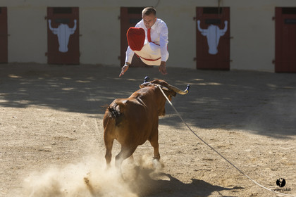 Course landaise