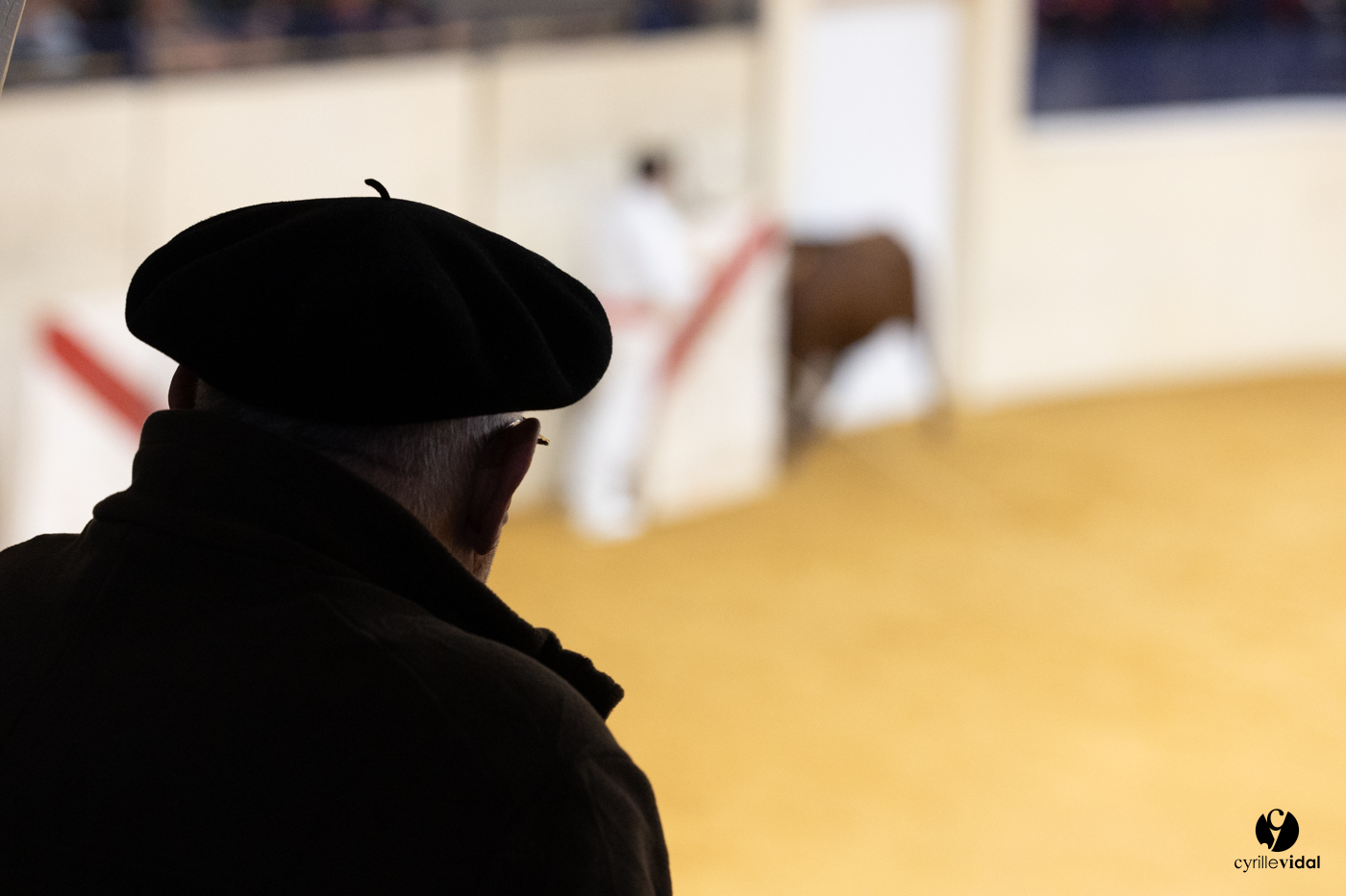 Horsarrieu course landaise du boléro d'Argent