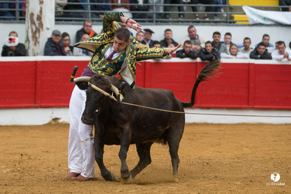 Nogaro Championnatde France de Course Landaise 2017