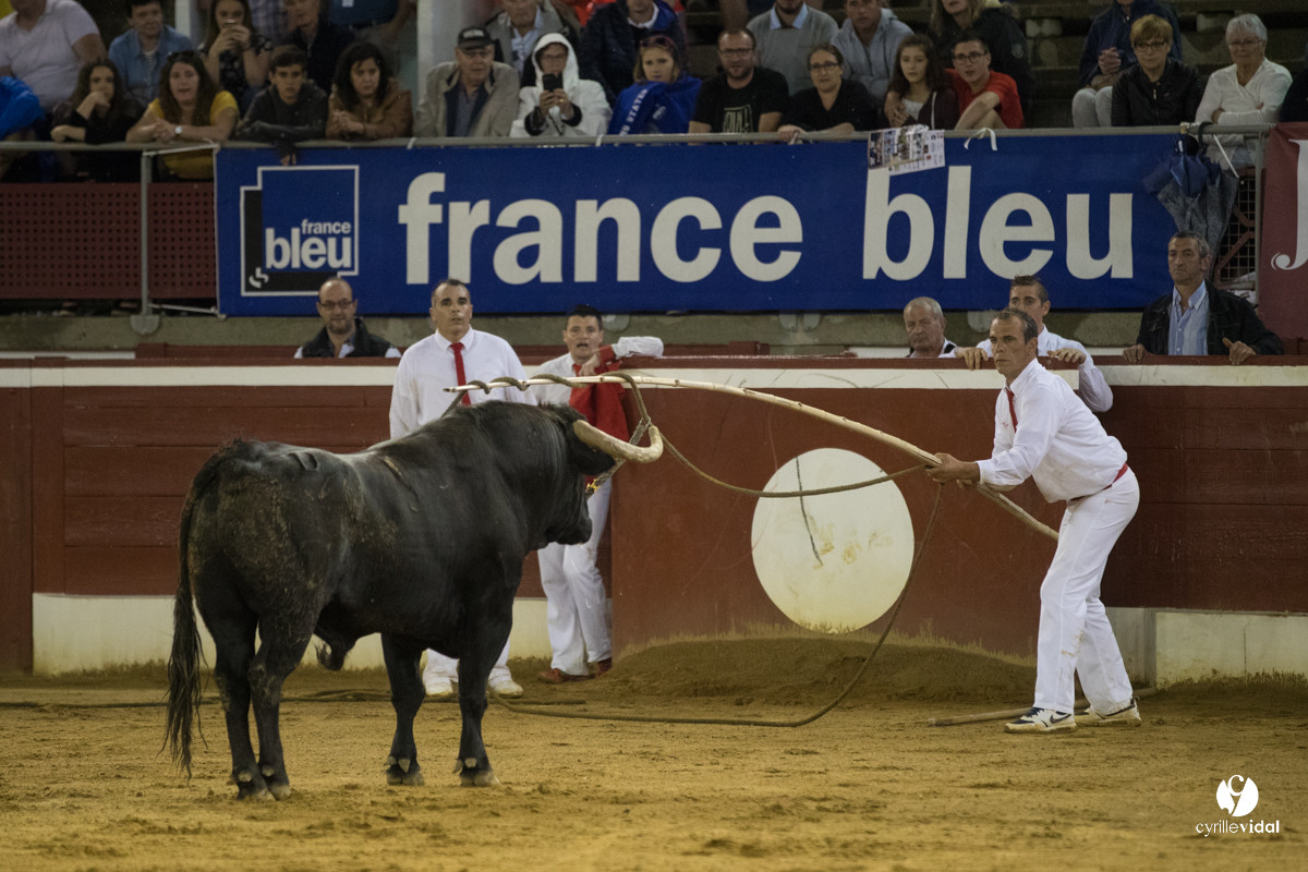 Mont-de-Marsan festival Art et Courage
