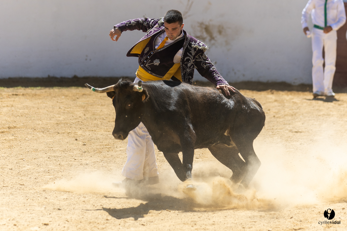 Saint-Cricq Chalosse course landaise de promotion Ganadéria Deyris Cuadrilla Jérémy Lafitte