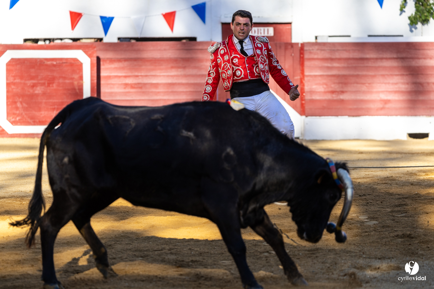 Aire-sur-l'Adour Championnat de France de course landaise 2023