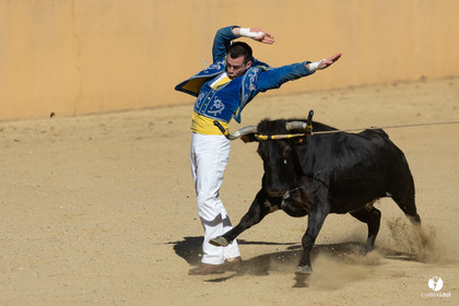 Course landaise