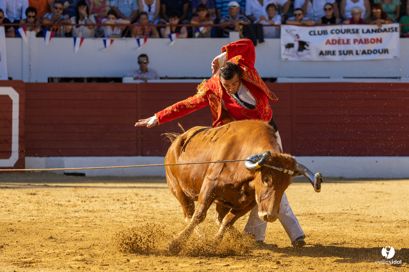 Aire-sur-l'Adour Championnat de France de course landaise 2023