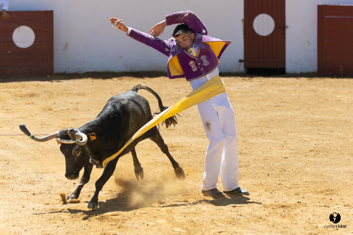 Saint-Cricq Chalosse course landaise de promotion Ganadéria Deyris Cuadrilla Jérémy Lafitte