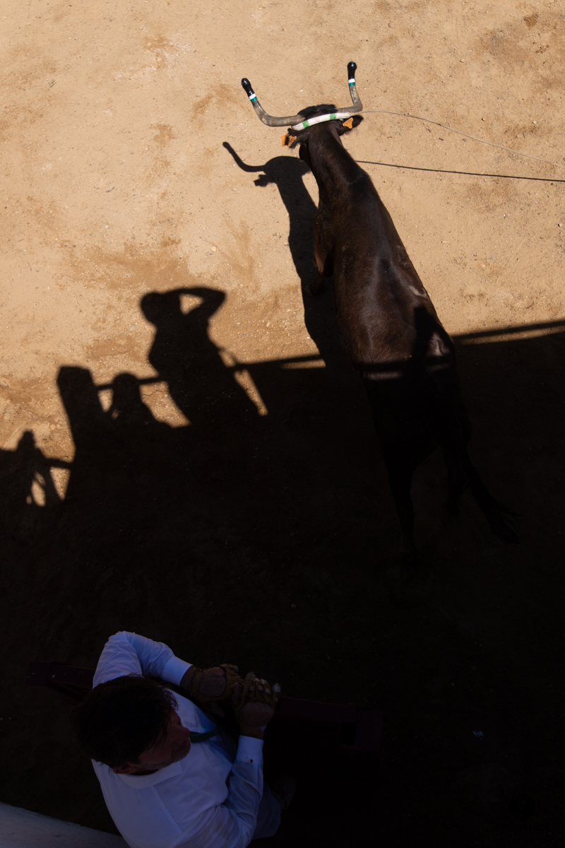 Saint-Cricq Chalosse course landaise de promotion Ganadéria Deyris Cuadrilla Jérémy Lafitte