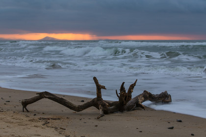 Paysages des Landes
