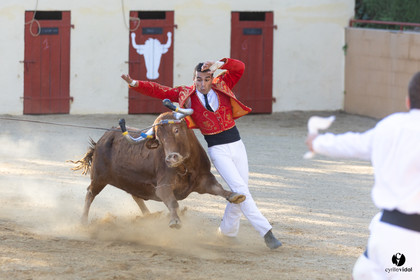 Course landaise