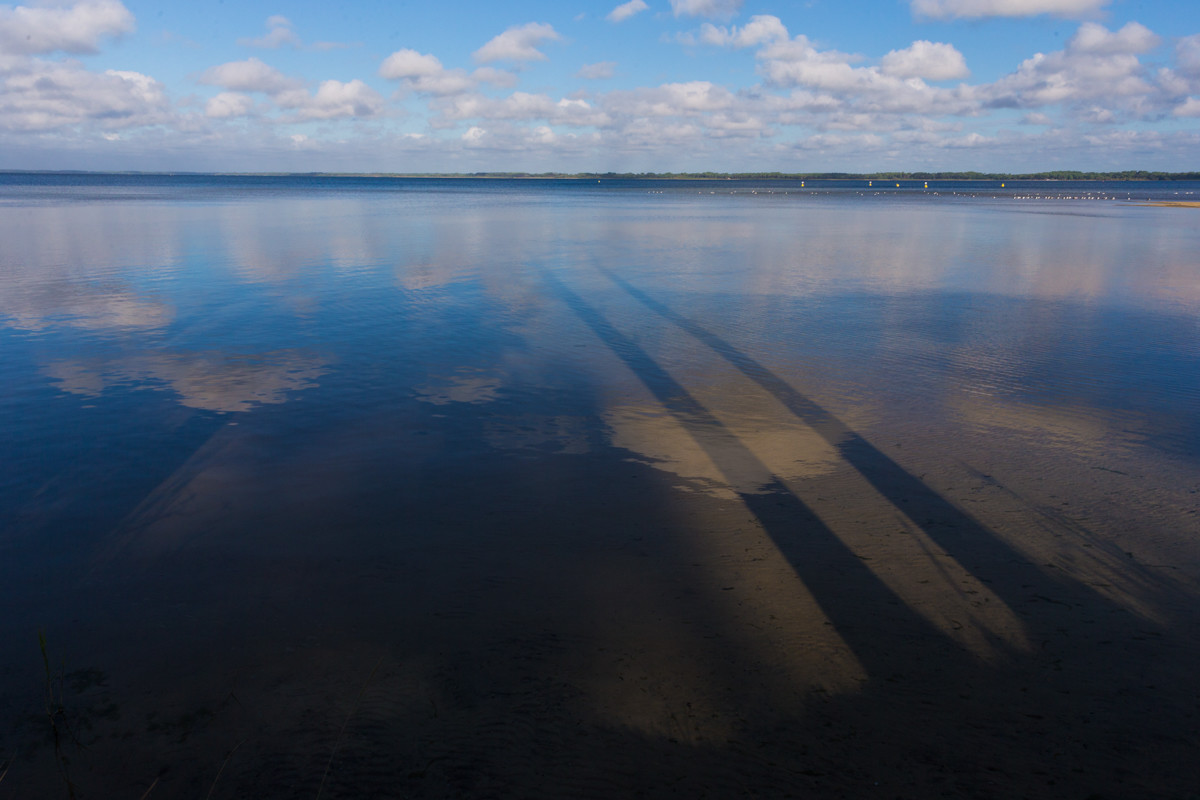 Paysages des Landes