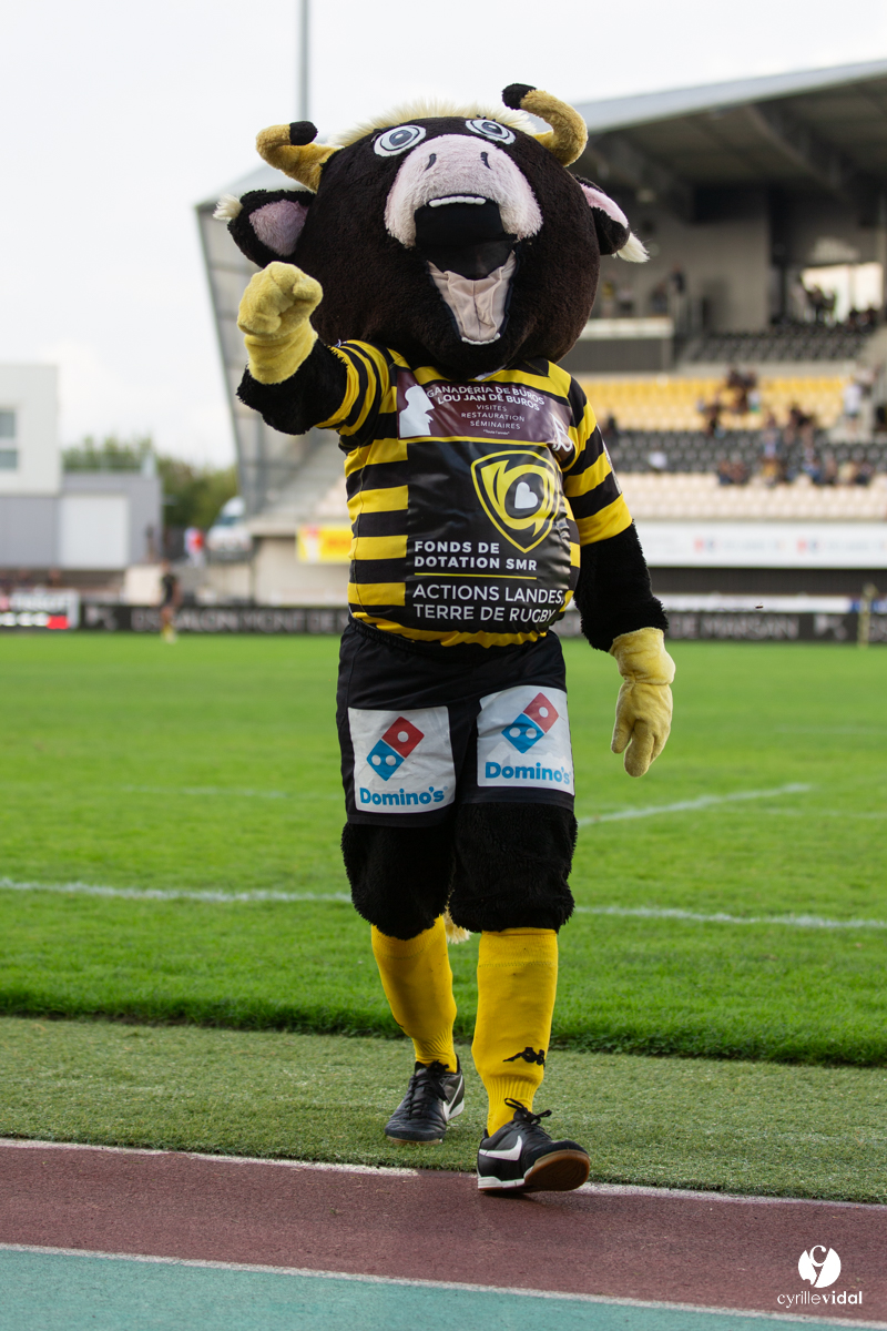 Stade Montois Rugby - Bourg en Bresse