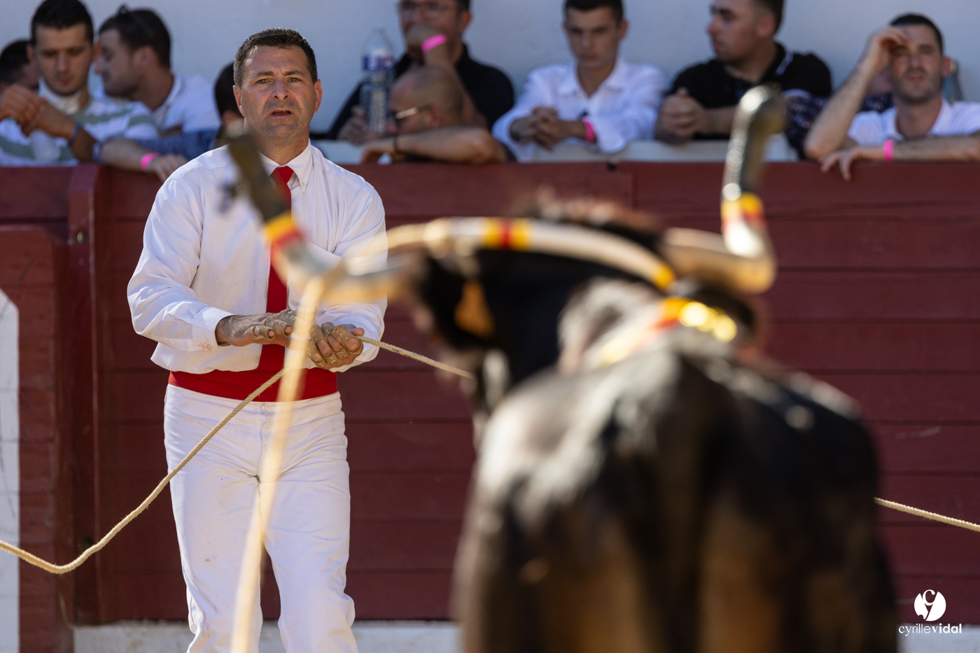 Aire-sur-l'Adour Championnat de France de course landaise 2023