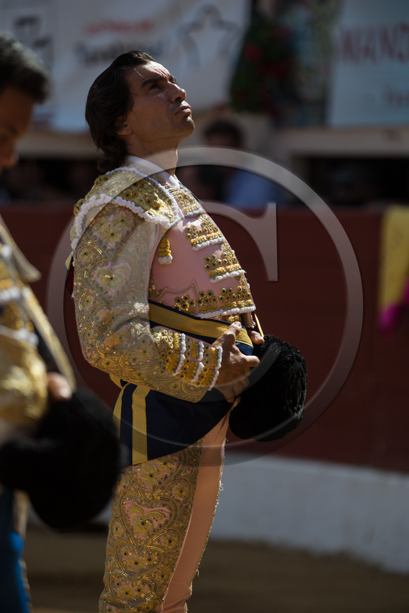 corrida, toro, vic fezensac, alcurrucen, michelito, morenito de aranda
