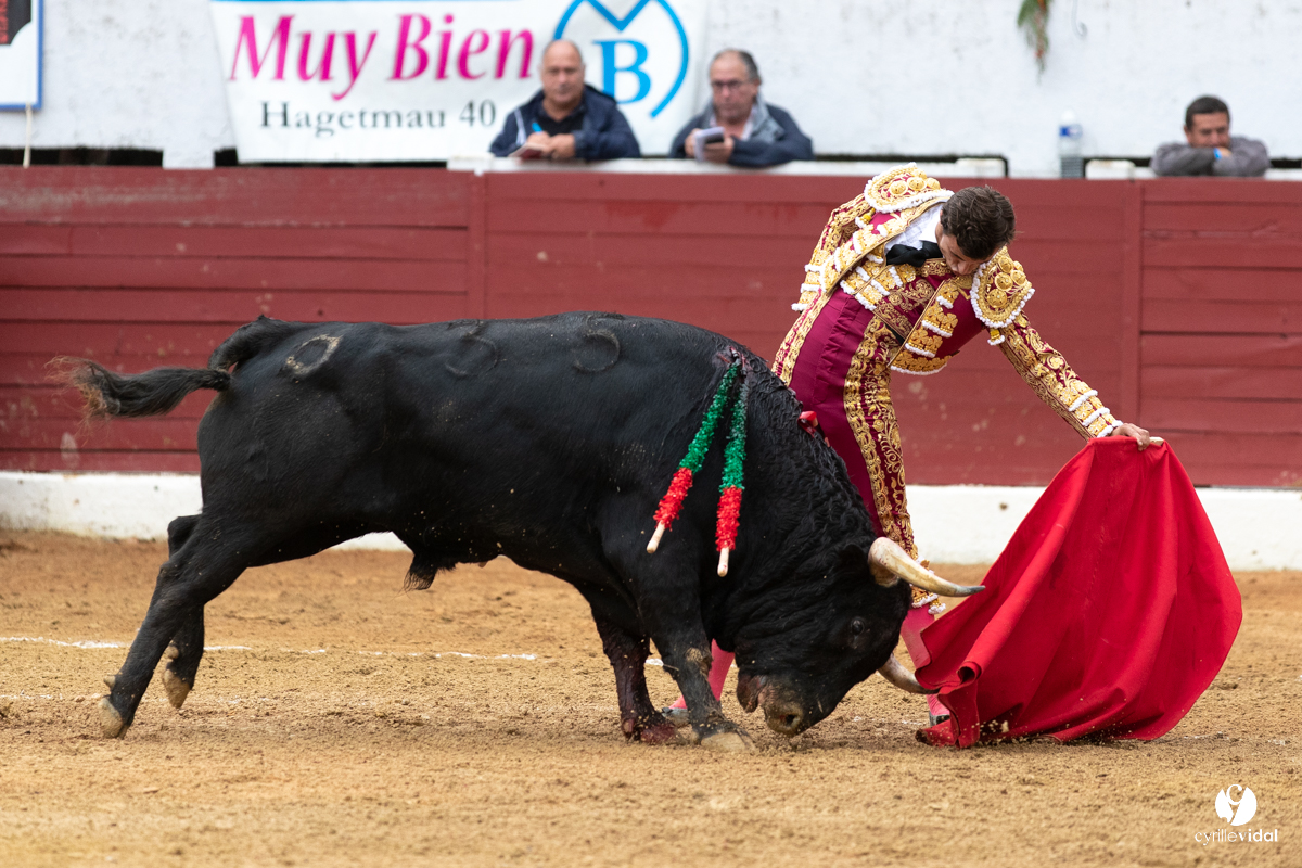 Corrida d'Aire sur l'Adour