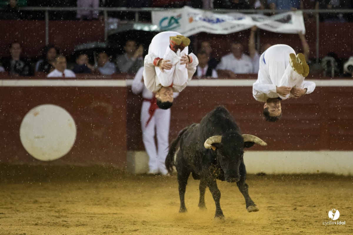 Mont-de-Marsan festival Art et Courage
